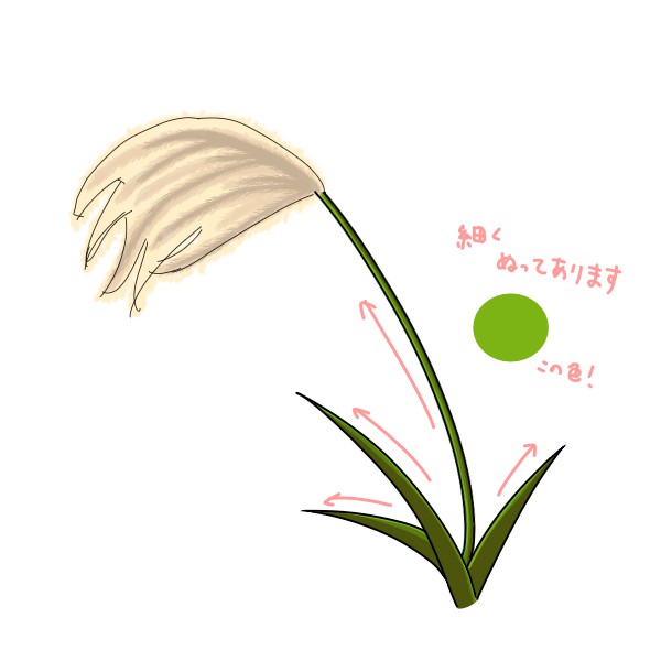 簡単なススキの描き方 もちまるのブログ
