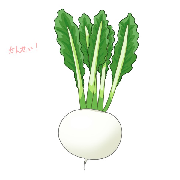 簡単なカブの描き方 もちまるのブログ