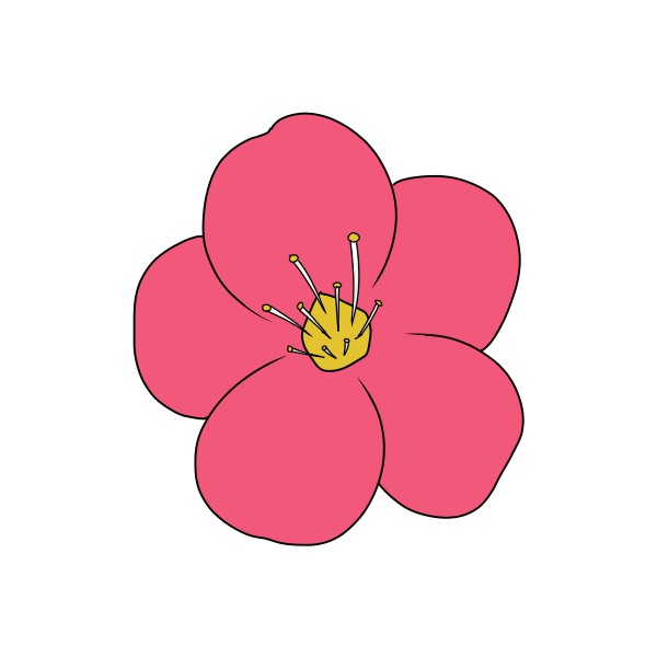 簡単な梅の花の描き方 もちまるのブログ