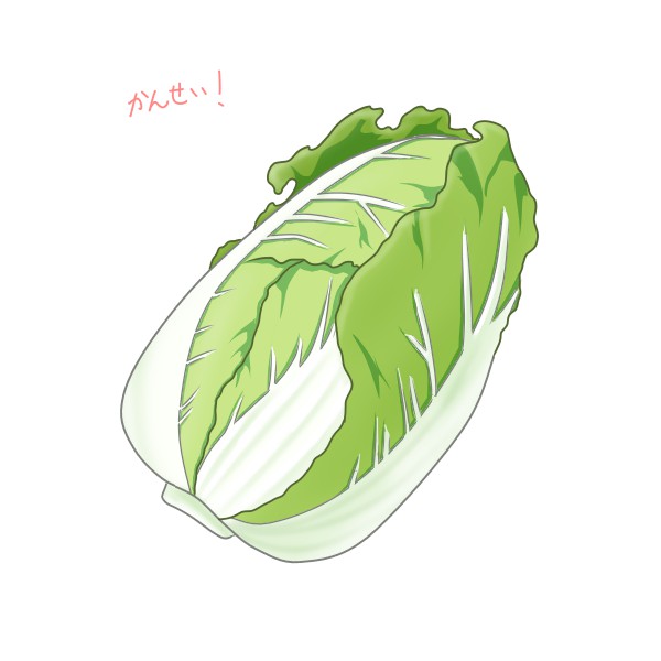 簡単な白菜の描き方 もちまるのブログ 簡単な白菜の描き方 もちまるのブログ