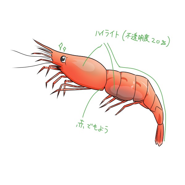 簡単な甘えびの描き方 もちまるのブログ