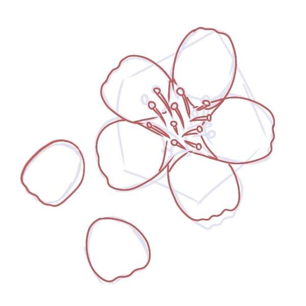 f:id:mochimarublognet:20210301110414j:plain