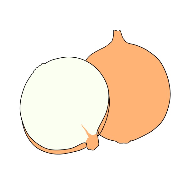 簡単な玉ねぎの描き方 もちまるのブログ 簡単な玉ねぎの描き方 もちまるのブログ