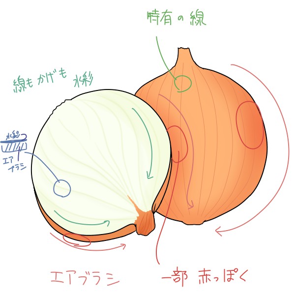 簡単な玉ねぎの描き方 もちまるのブログ