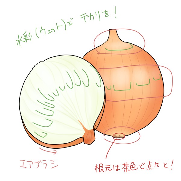 簡単な玉ねぎの描き方 もちまるのブログ