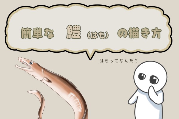 簡単な鱧 はも の描き方 もちまるのブログ
