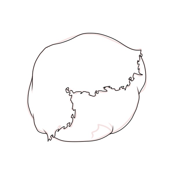 簡単なレタスの描き方 もちまるのブログ