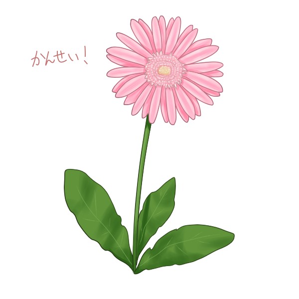 簡単なガーベラの描き方 - もちまりるのブログ