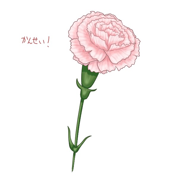 簡単なカーネーションの描き方 改 もちまるのブログ