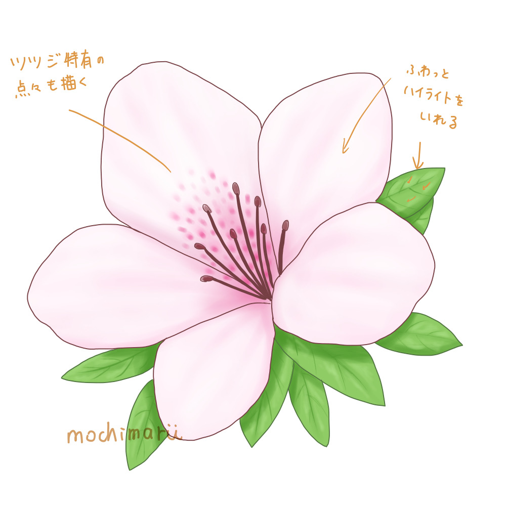 ツツジ　絵 簡単なツツジの描き方 - もちまりるのブログ
