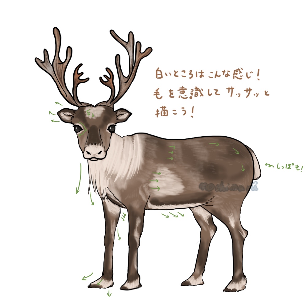 トナカイの描き方 - もちまりるのブログ