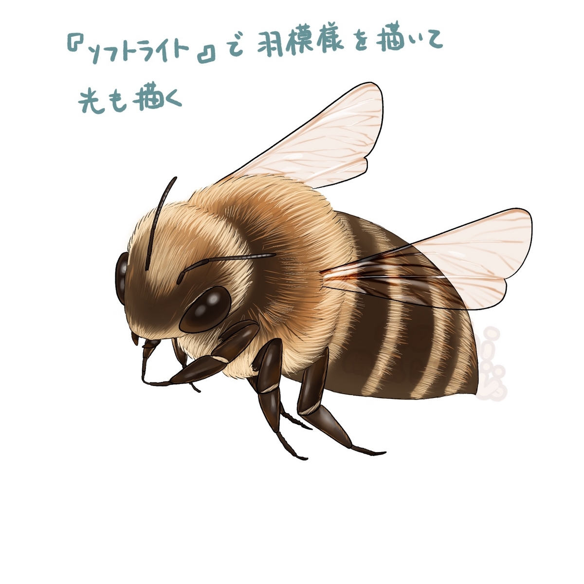 ミツバチの描き方 - もちまりるのブログ