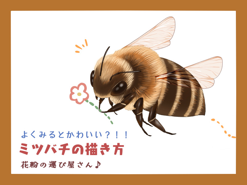 ミツバチの描き方 - もちまりるのブログ