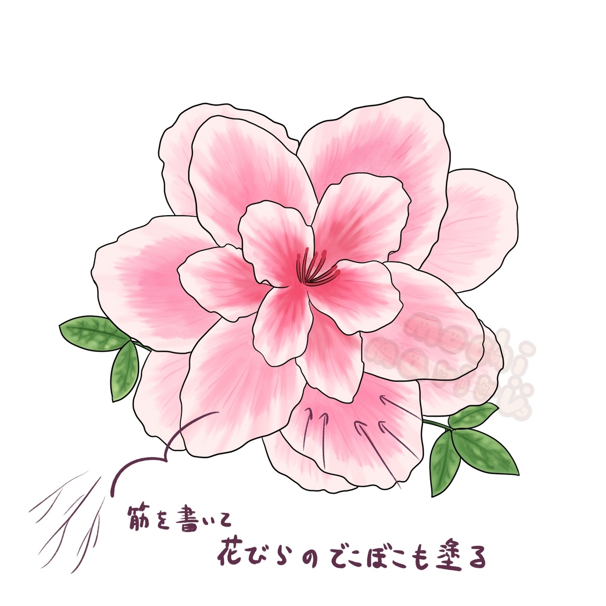 簡単なアザレアの描き方 - もちまりるのブログ