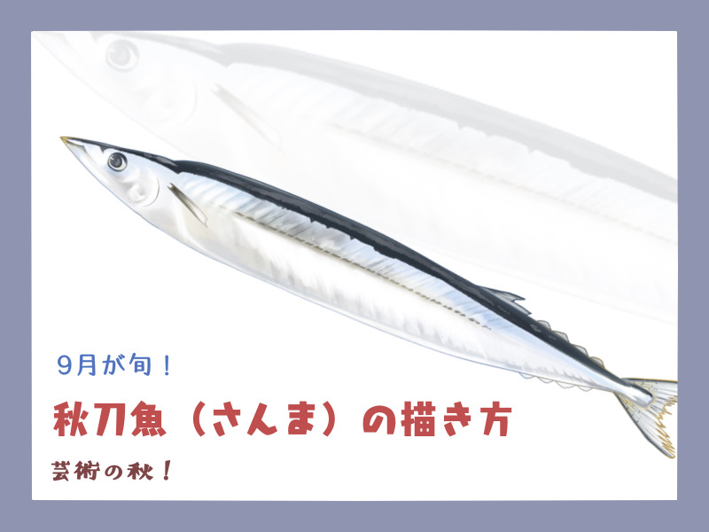 秋刀魚（さんま）の描き方 - もちまりるのブログ