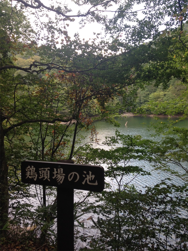 f:id:mochimegane:20220525105019j:image