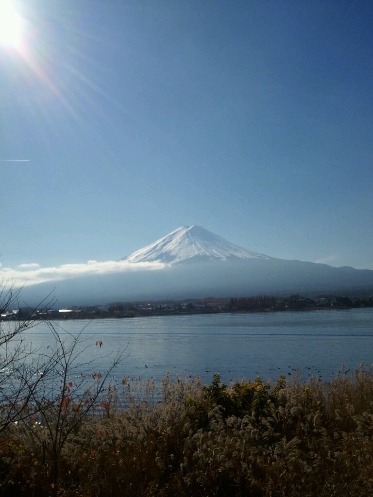 f:id:mochimegane:20220608122012j:image