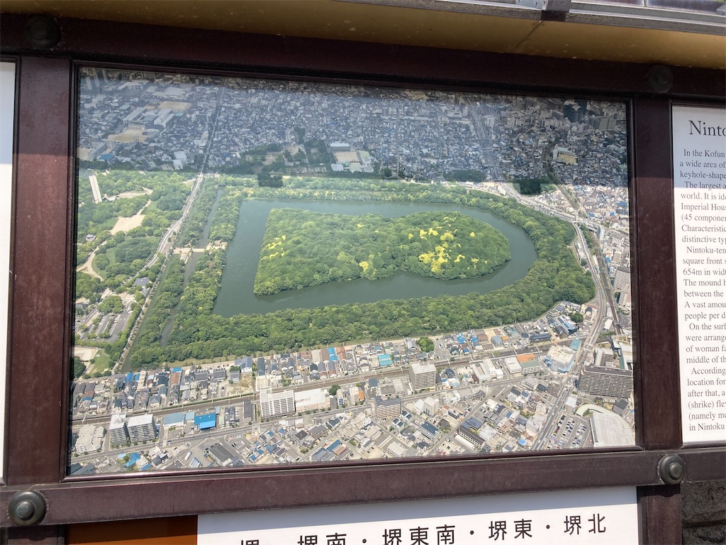f:id:mochimegane:20220609112456j:image