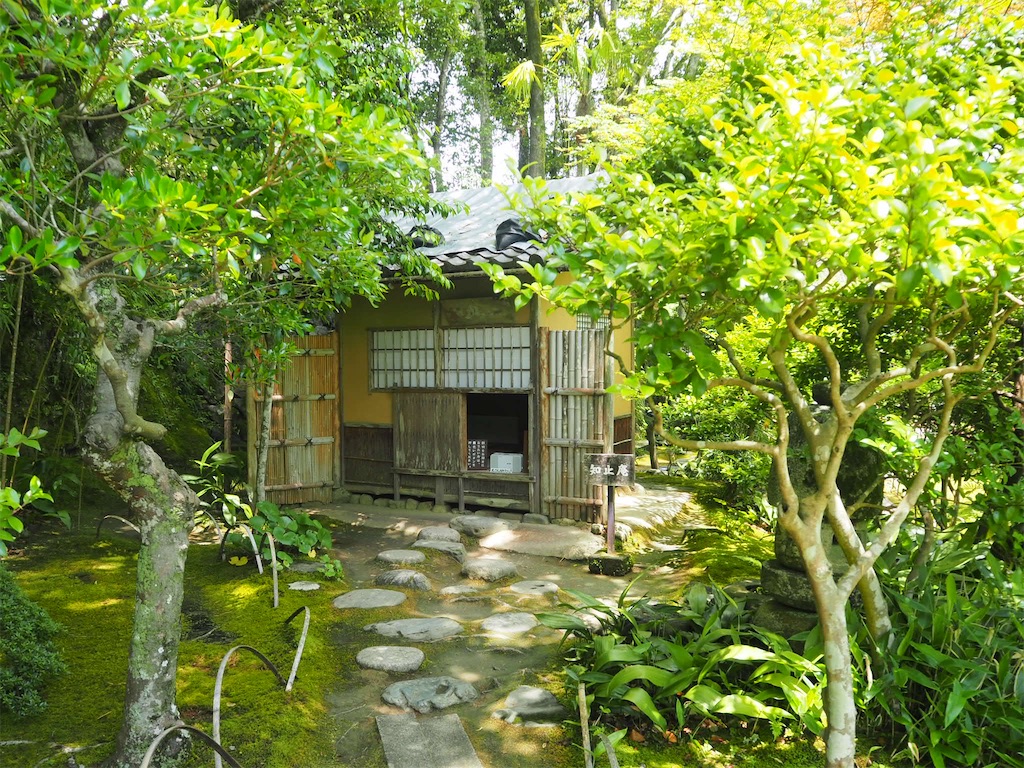 f:id:mochimi5447:20200705172147j:image