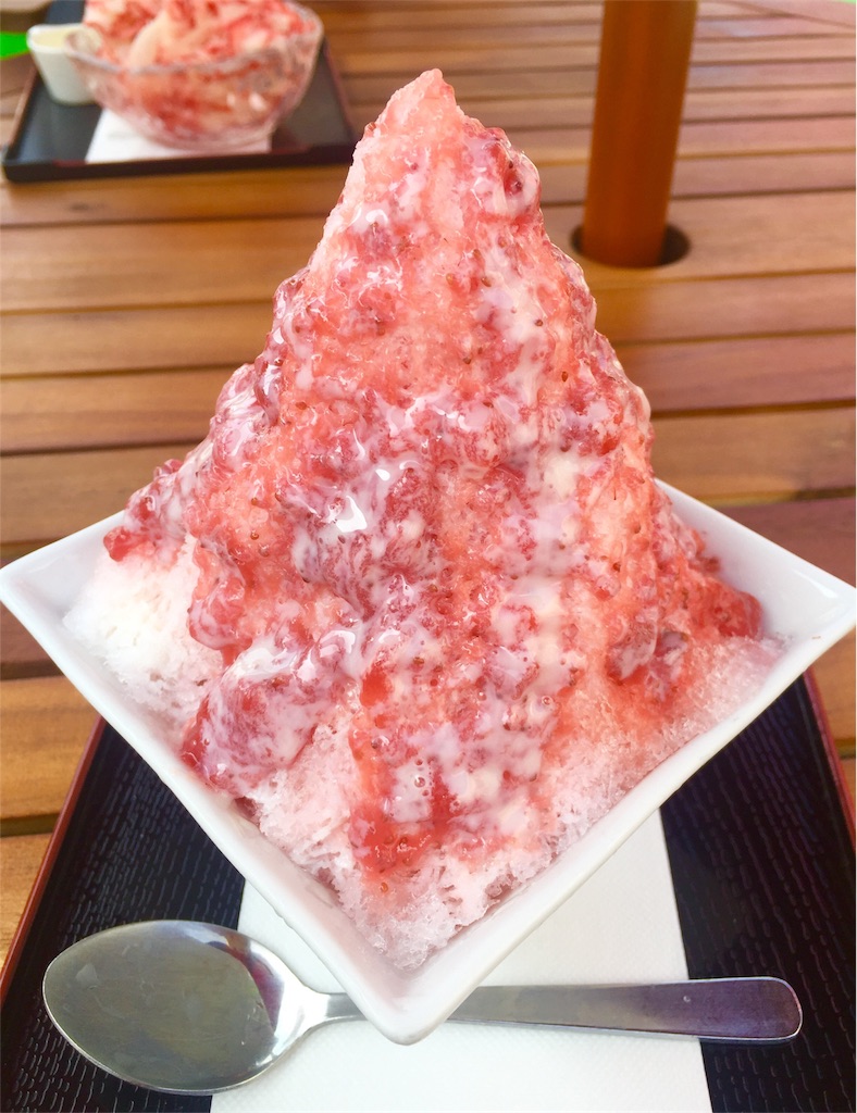 f:id:mochimochi8:20170720161944j:image f:id:mochimochi8:20170720161944j:image