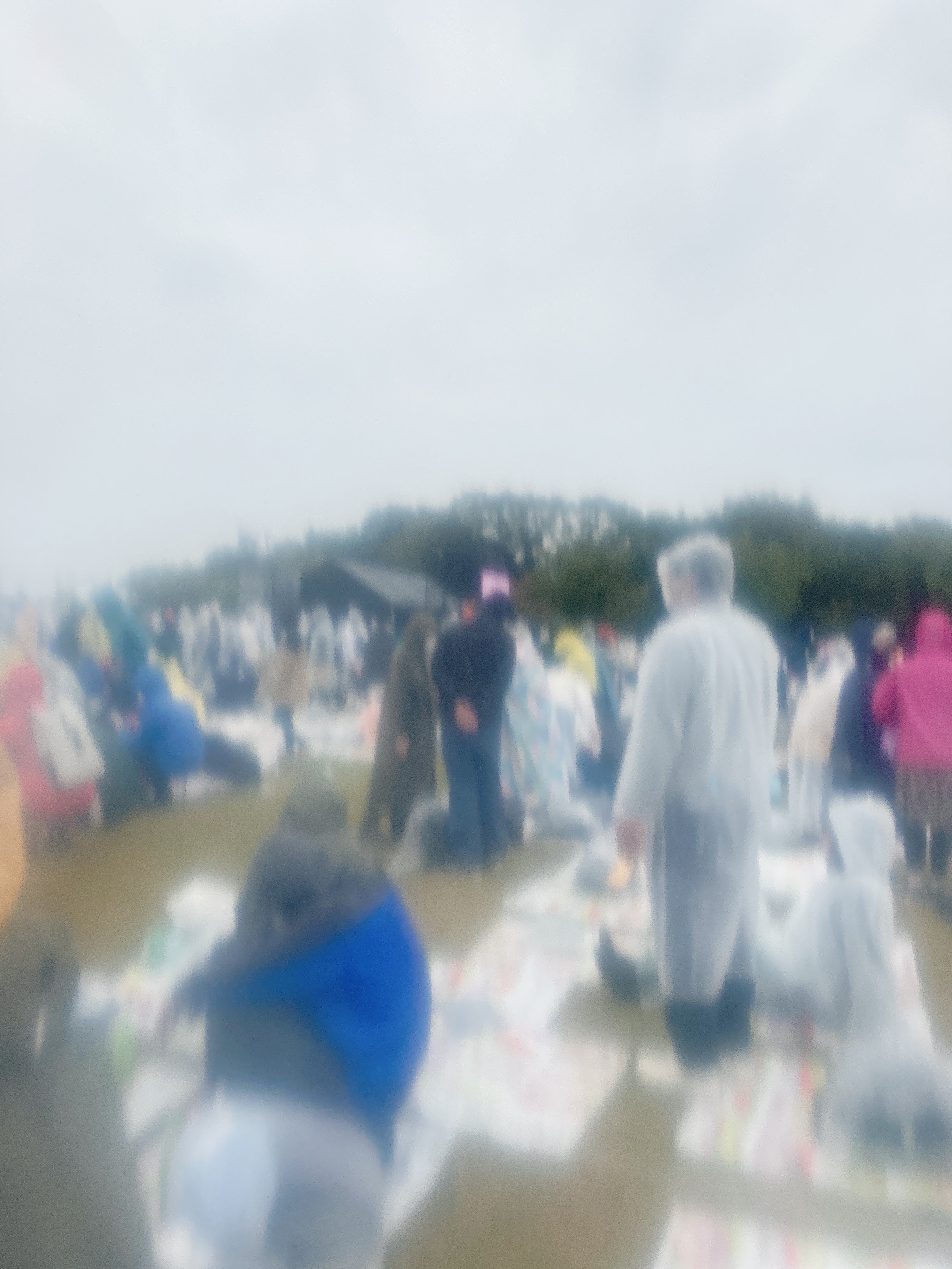 f:id:mochimochi_fs:20230211175500j:image