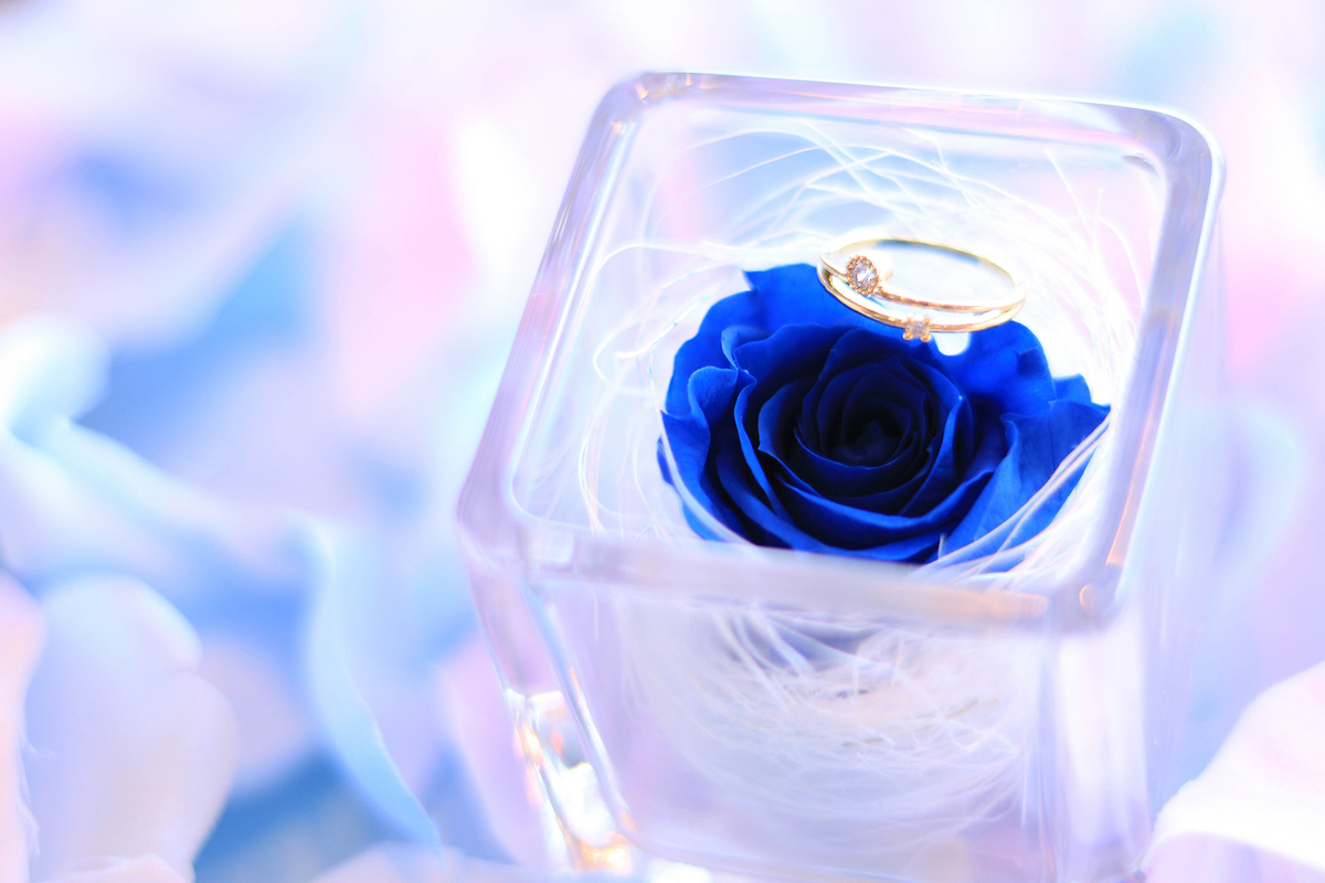 f:id:mochimochifreedom:20190724184959j:plain