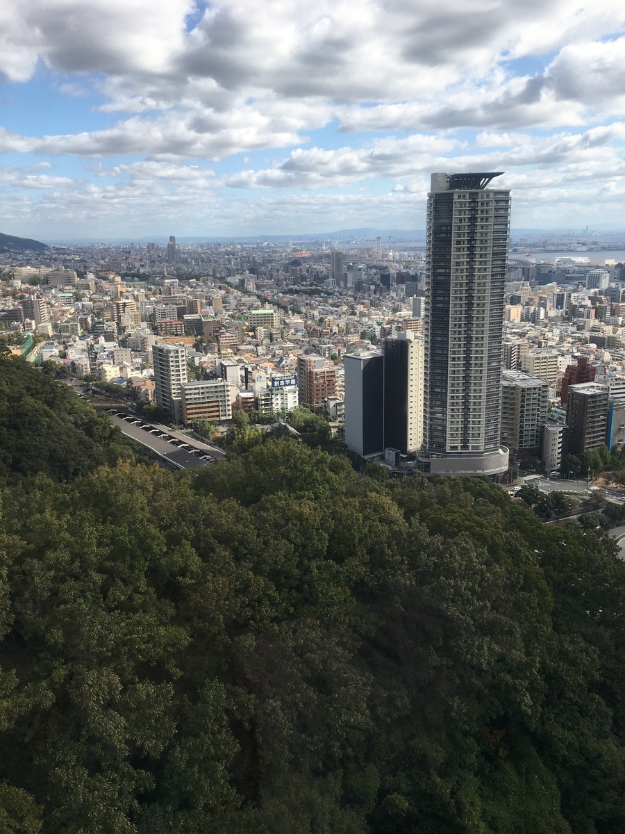 f:id:mochimochifreedom:20191119200939j:plain f:id:mochimochifreedom:20191119200939j:plain