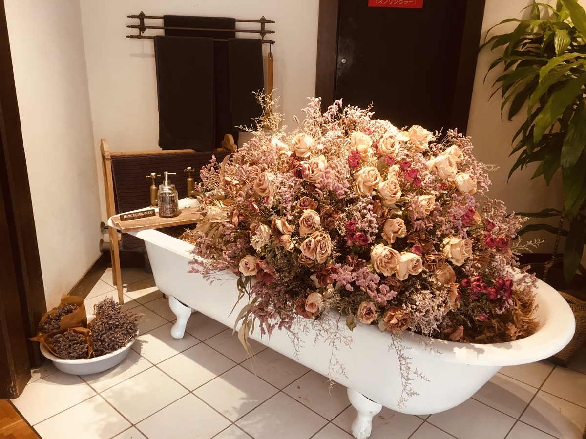 f:id:mochimochifreedom:20191119201119j:plain f:id:mochimochifreedom:20191119201119j:plain