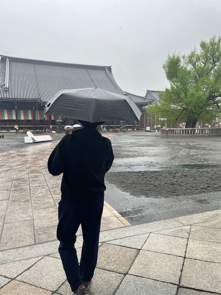 f:id:mochimochiking:20230815212557j:image f:id:mochimochiking:20230815212557j:image