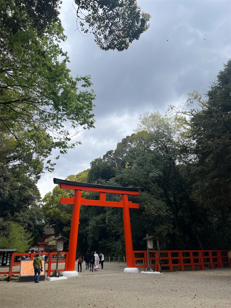 f:id:mochimochiking:20230815212824j:image f:id:mochimochiking:20230815212824j:image