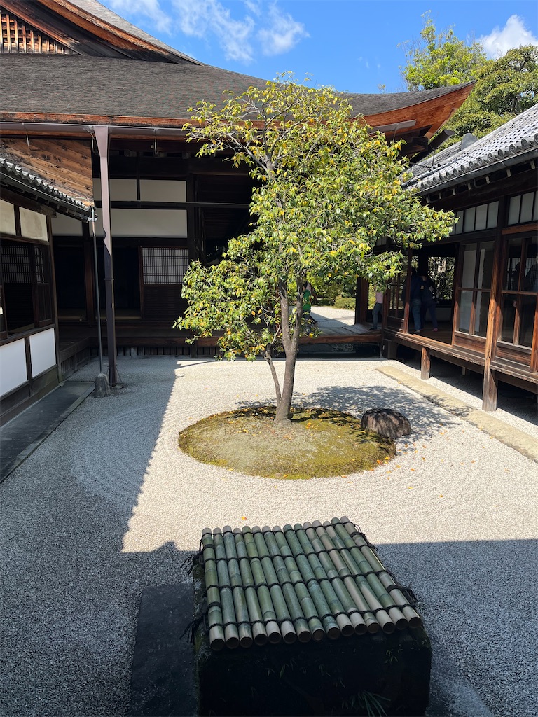 f:id:mochimochiking:20230815213532j:image f:id:mochimochiking:20230815213532j:image