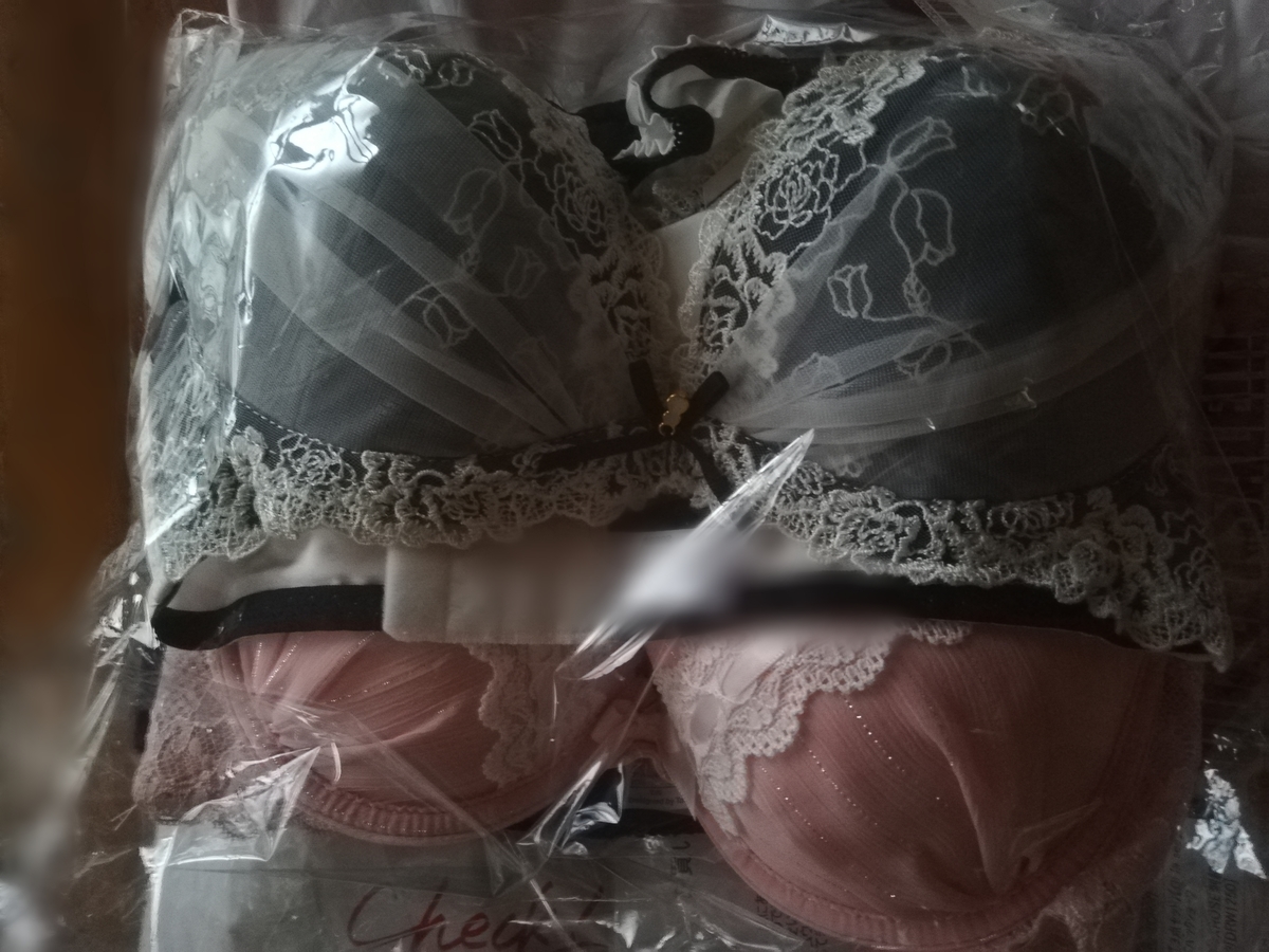 f:id:mochimochimarutan:20190803102313j:plain