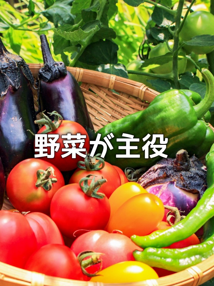 f:id:mochimochimarutan:20190913144036j:plain