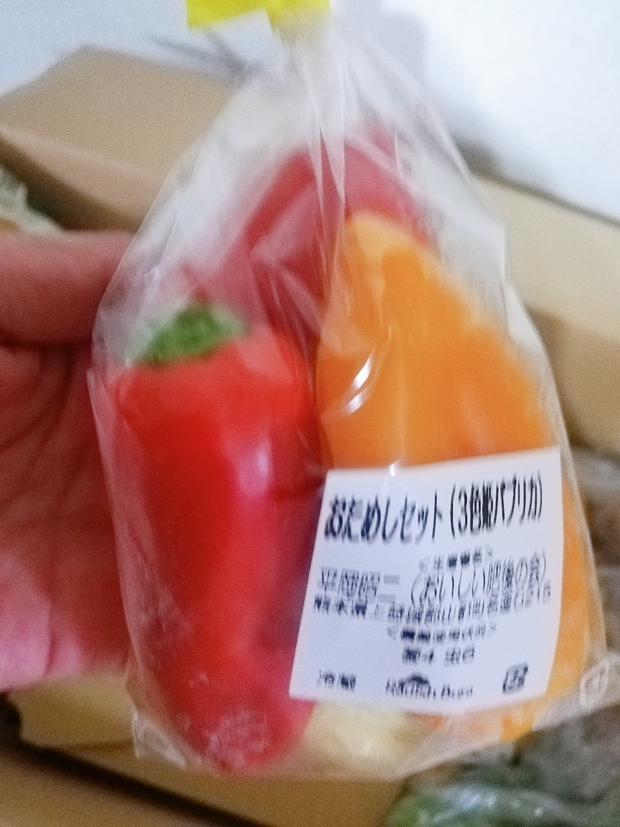 f:id:mochimochimarutan:20190913152405j:plain