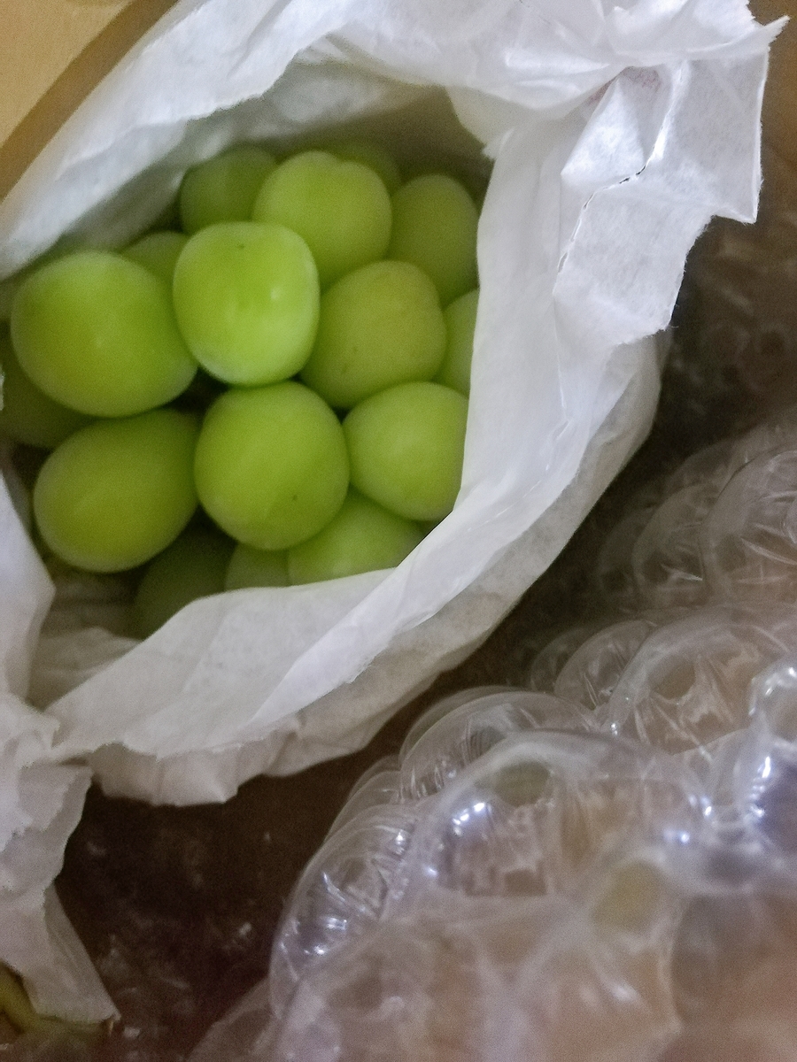 f:id:mochimochimarutan:20190913152723j:plain