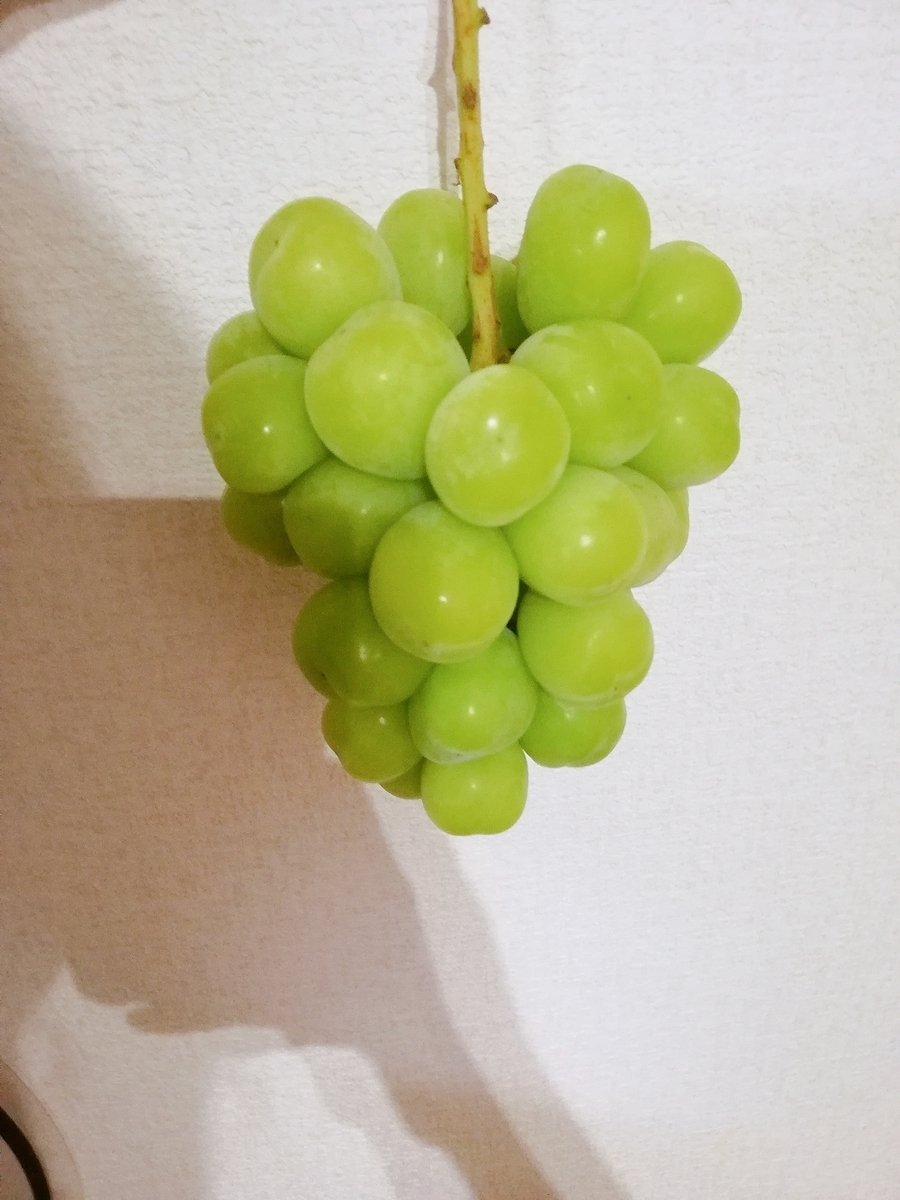 f:id:mochimochimarutan:20190913152754j:plain