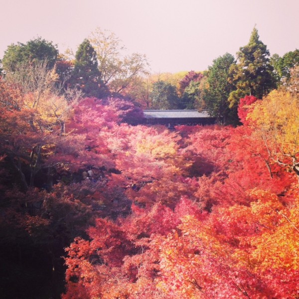 f:id:mochimochimochi:20131124125739j:image f:id:mochimochimochi:20131124125739j:image