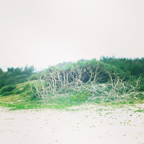 f:id:mochimochimochi:20131215102343j:image f:id:mochimochimochi:20131215102343j:image