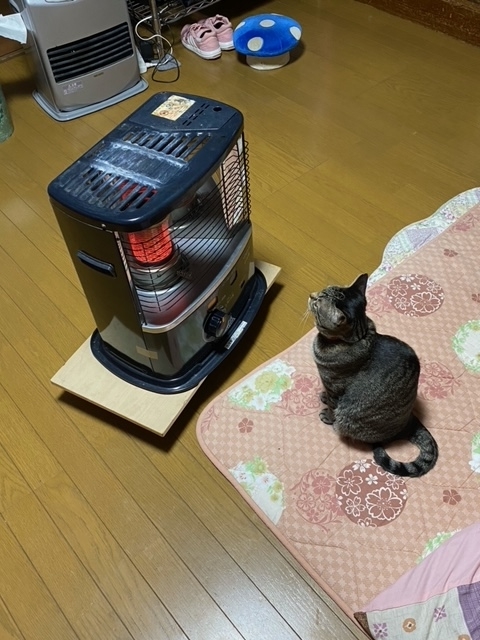 f:id:mochimurara:20210227053813j:plain