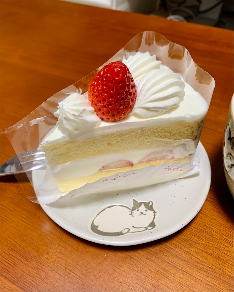 f:id:mochinoneko:20230129232516j:image