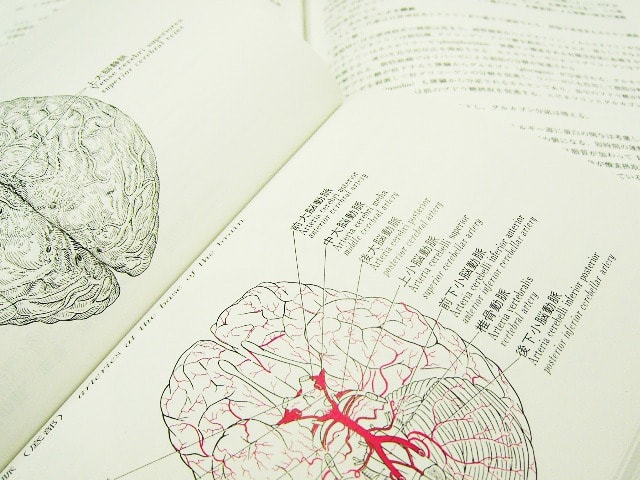 f:id:mochinox:20170426184056j:plain