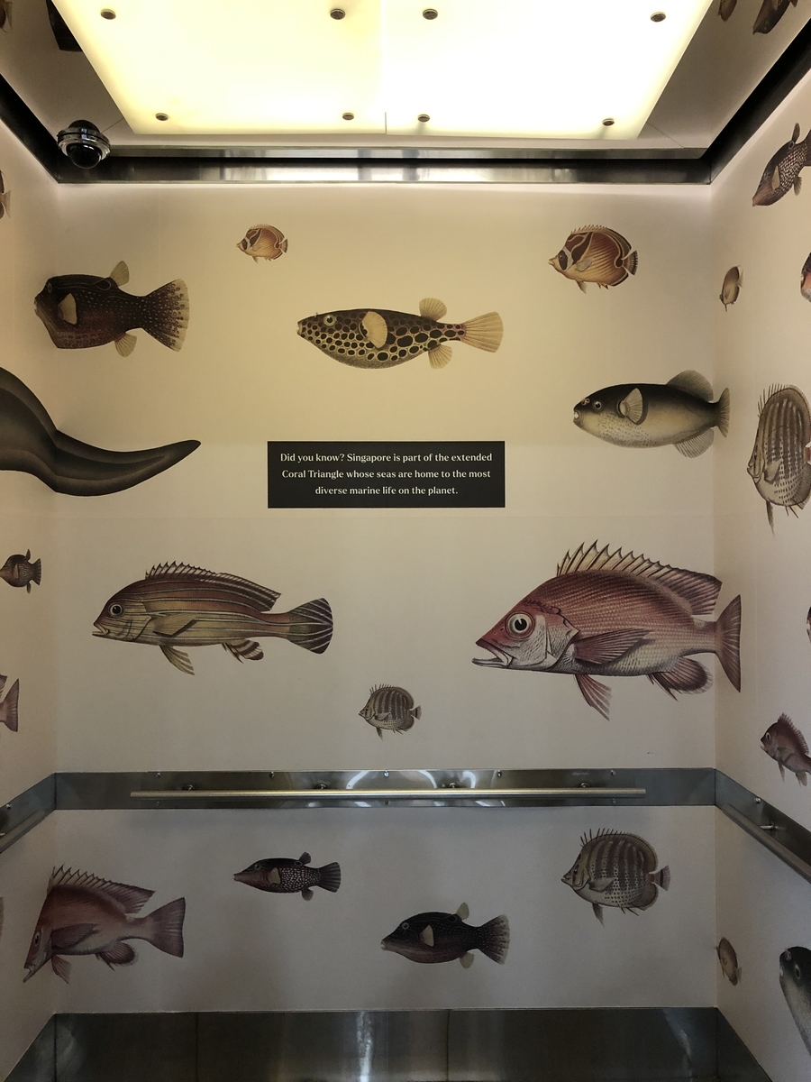 f:id:mochirinax:20210708222349j:plain