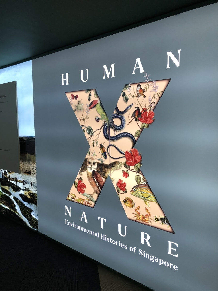 f:id:mochirinax:20210708222400j:plain