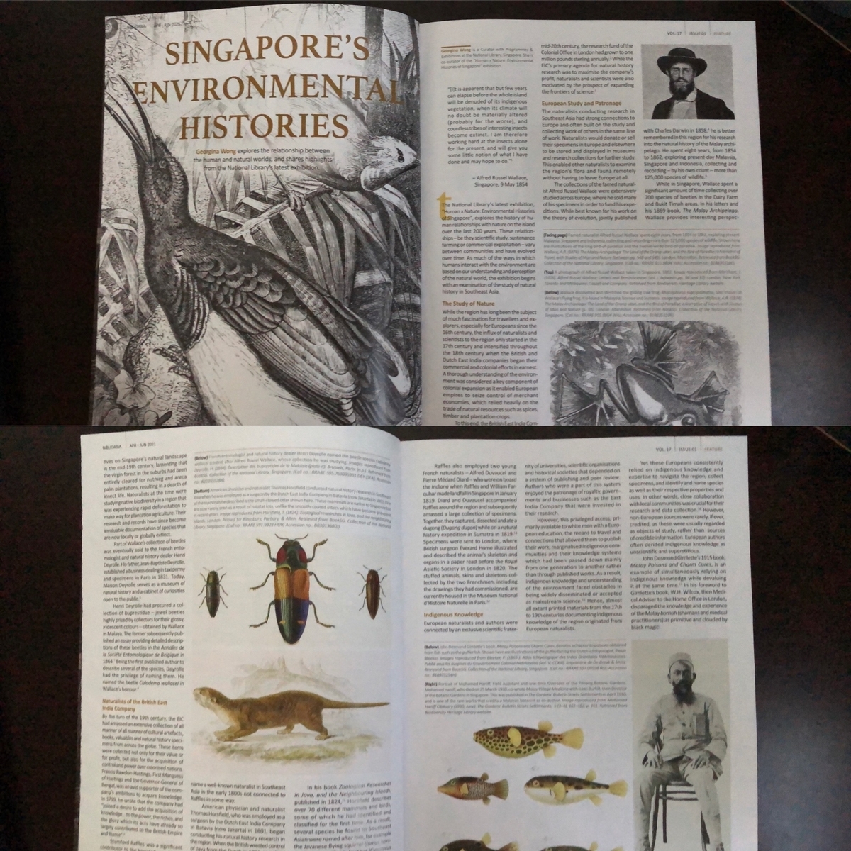 f:id:mochirinax:20210708232850j:plain