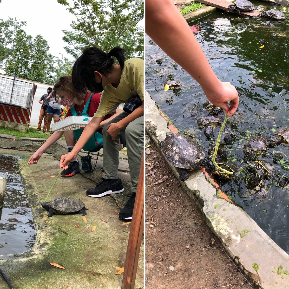 f:id:mochirinax:20210719004040j:plain