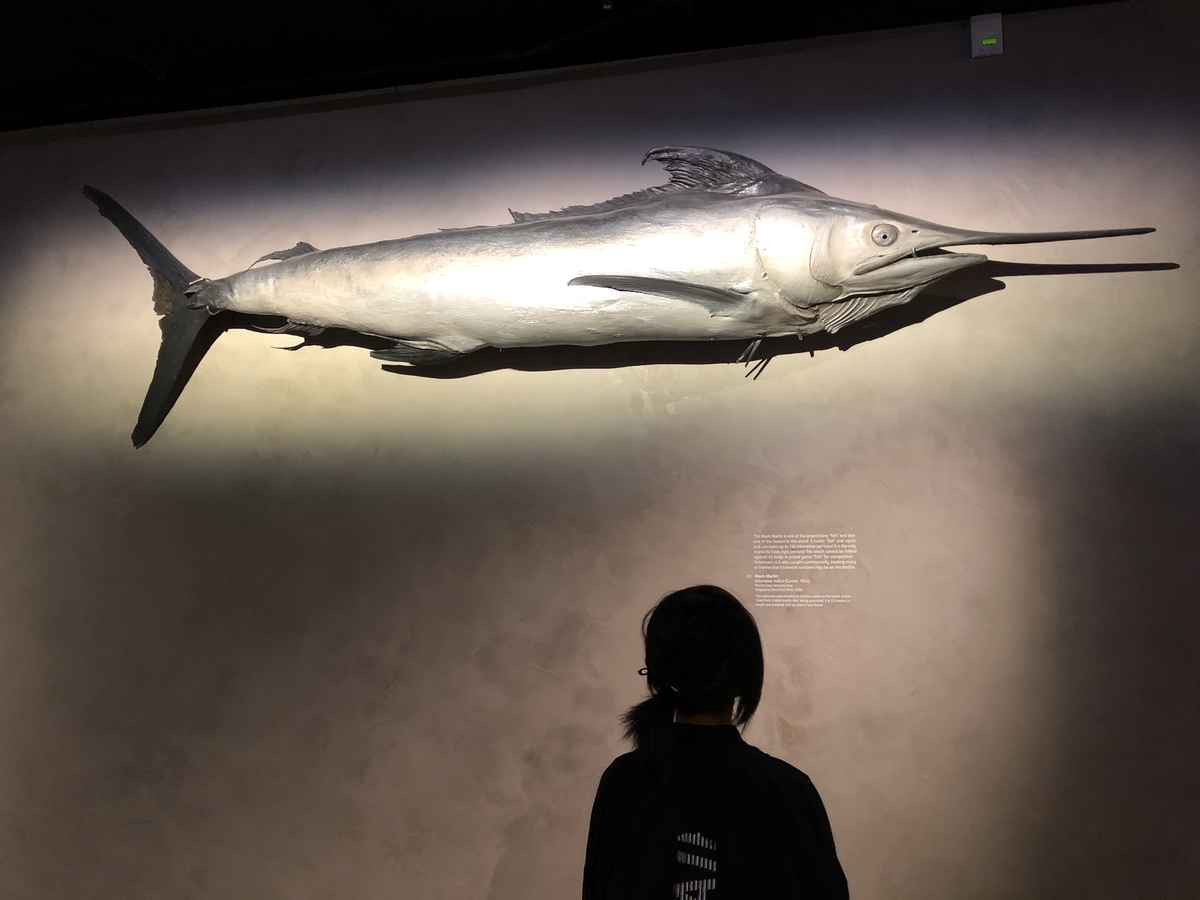 f:id:mochirinax:20210723224457j:plain