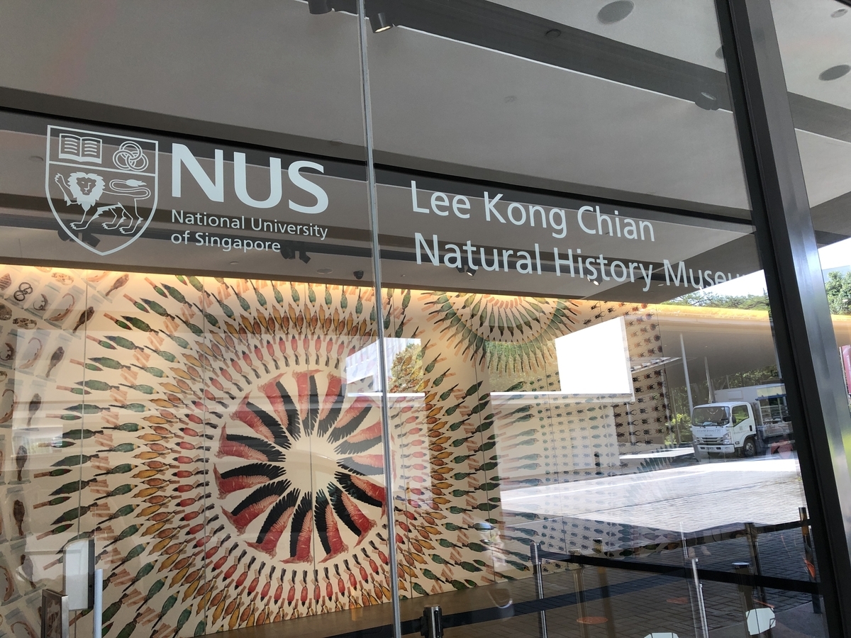 f:id:mochirinax:20210723224523j:plain