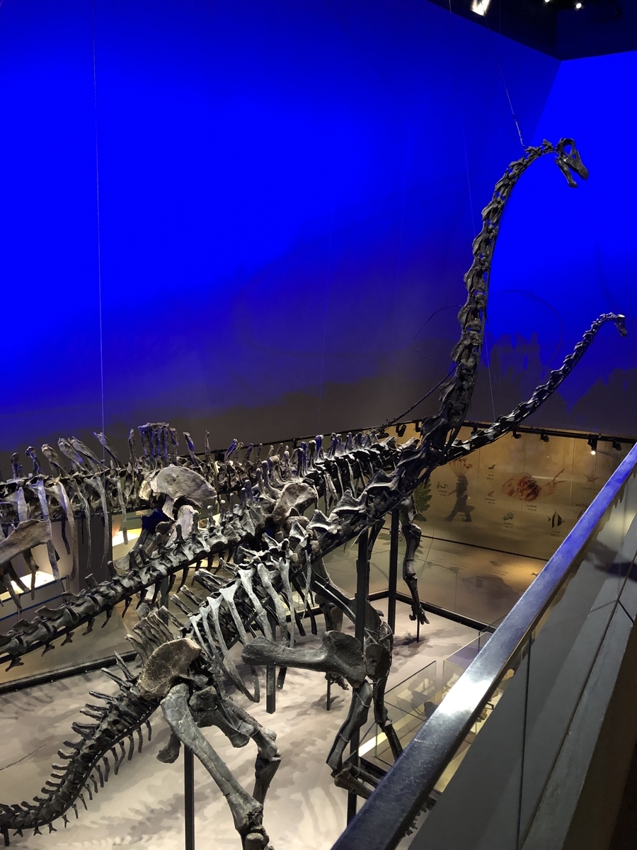 f:id:mochirinax:20210723230308j:plain