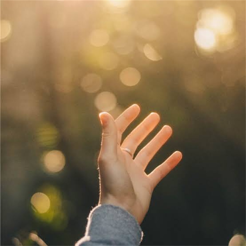 f:id:moco00:20210308021402j:image