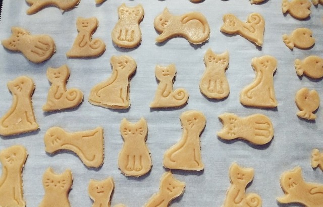 f:id:mococaramel:20220317165730j:image